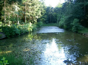 Natur