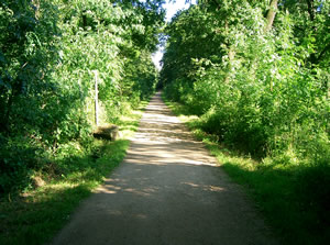 Natur 2